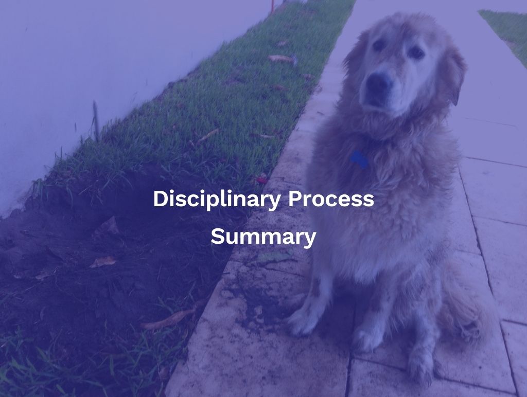 Disciplinary Process