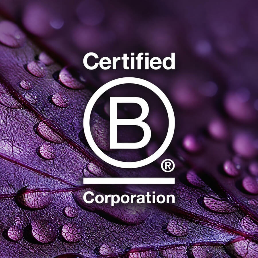 Image for B Corp Section